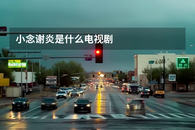 小念谢炎是什么电视剧