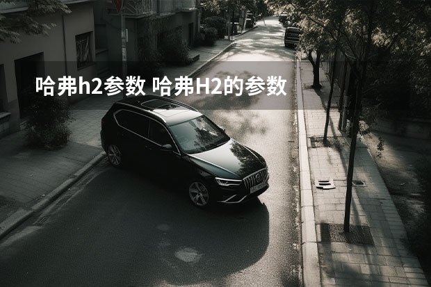 哈弗h2参数 哈弗H2的参数