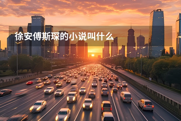 徐安傅斯琛的小说叫什么