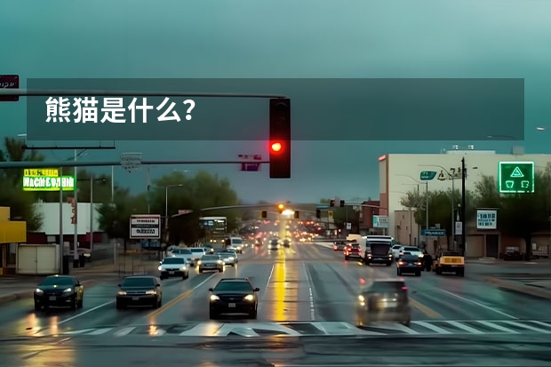 熊猫是什么？