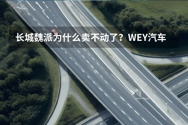 长城魏派为什么卖不动了？WEY汽车质量怎么样