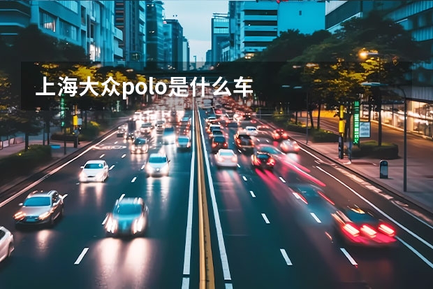 上海大众polo是什么车